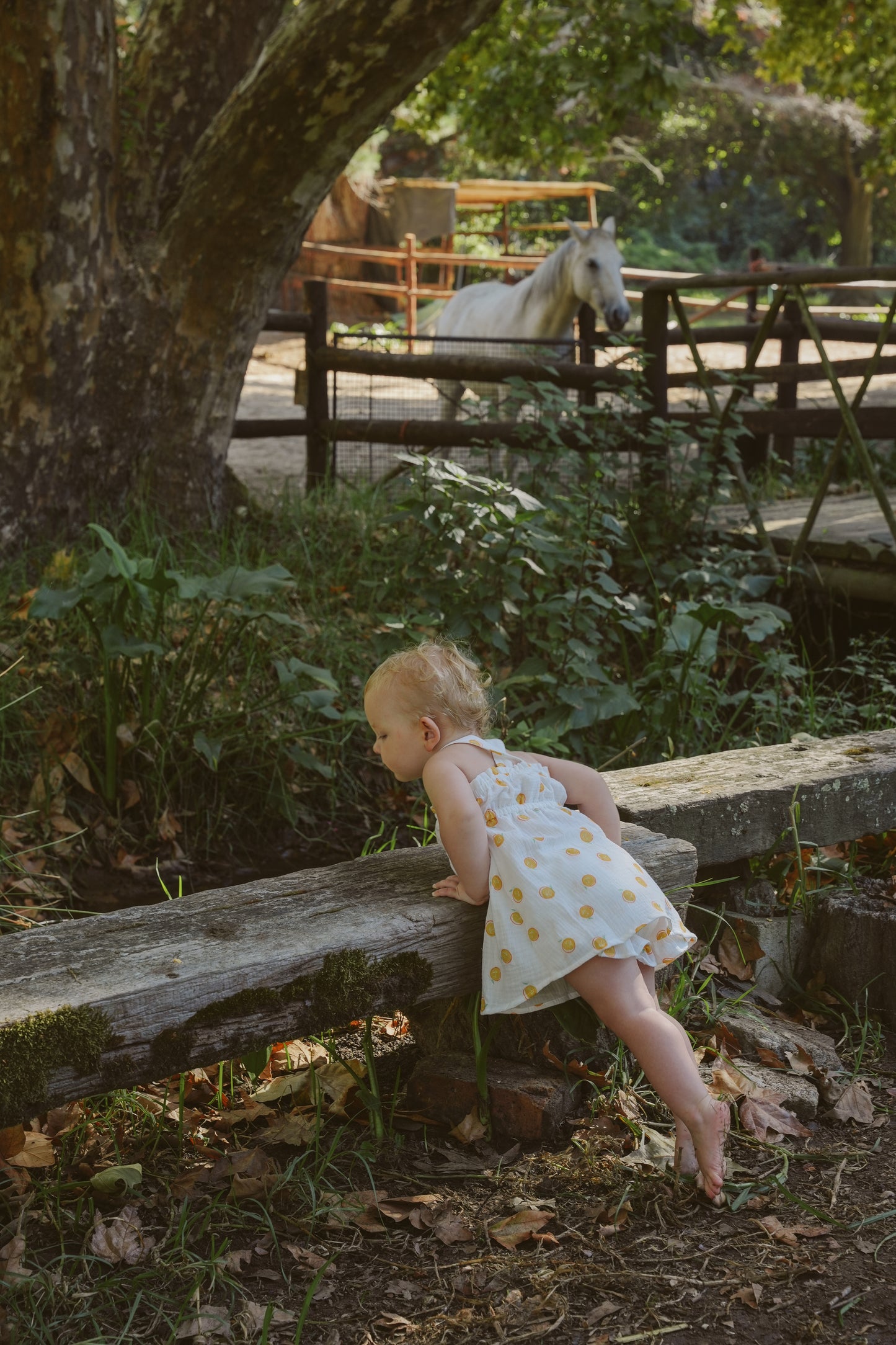 Meadow Muslin Dress - Citrus Print