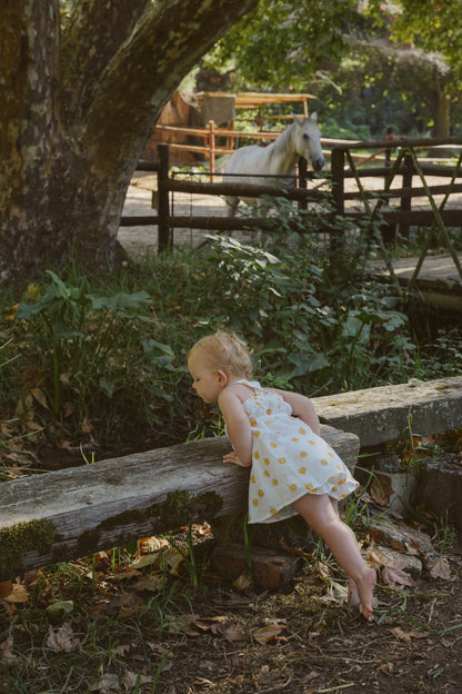 Meadow Muslin Dress - Citrus Print