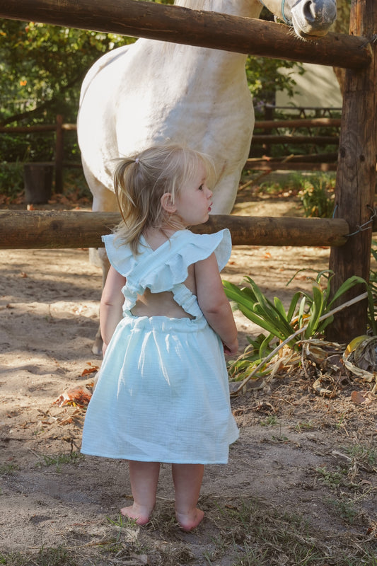 Wildflower Muslin Dress - Pastel Blue